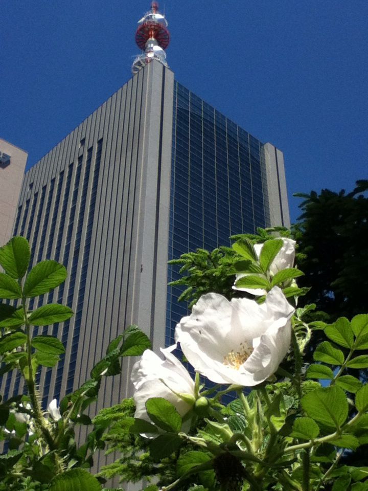 e0322201_855515.jpg
