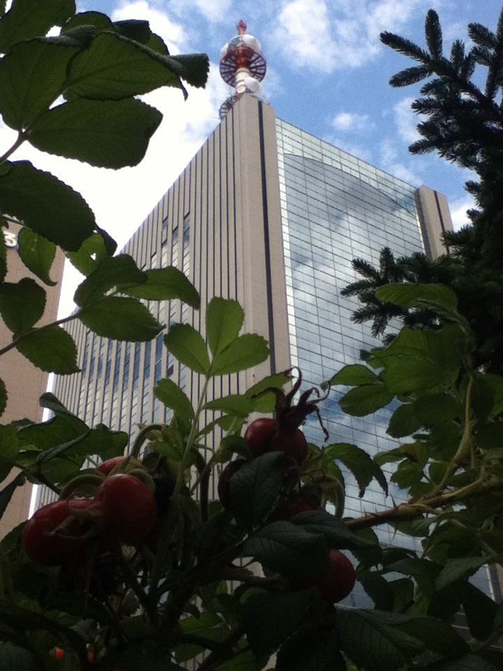 e0322201_8555985.jpg