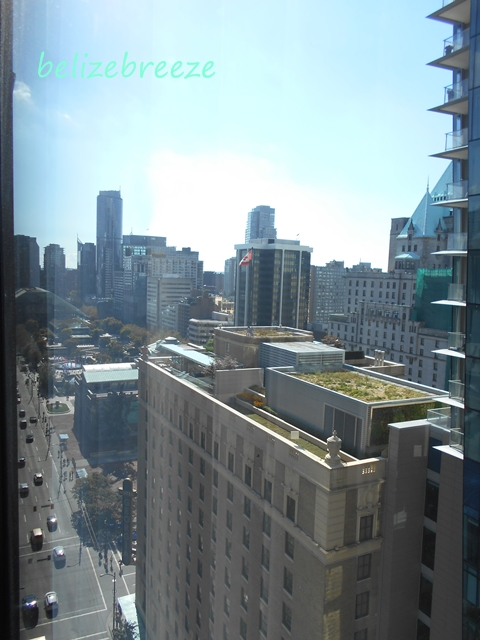 c0322902_12351322.jpg