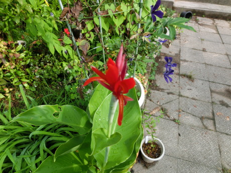 a0203003_9443247.jpg