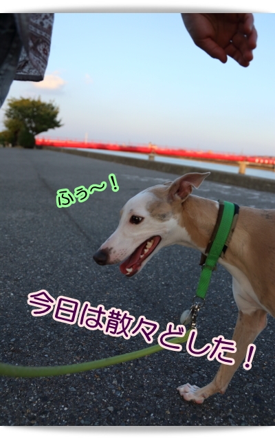 e0100007_8231882.jpg