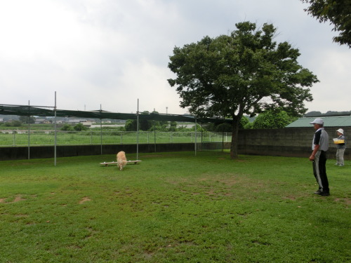 b0190908_20581625.jpg
