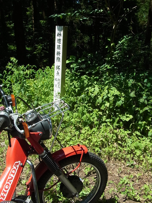 e0243008_1130147.jpg
