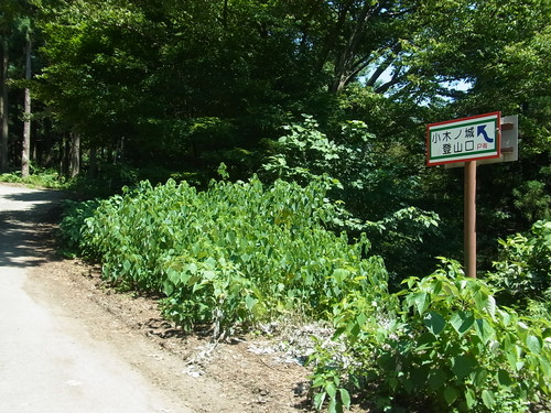 e0243008_11341190.jpg