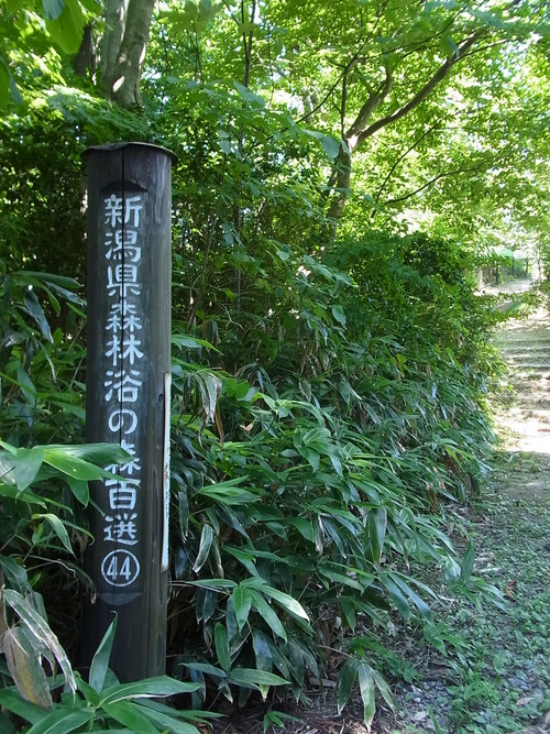 e0243008_11492217.jpg