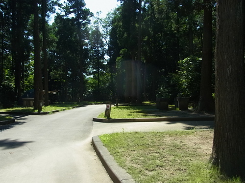 e0243008_11502630.jpg