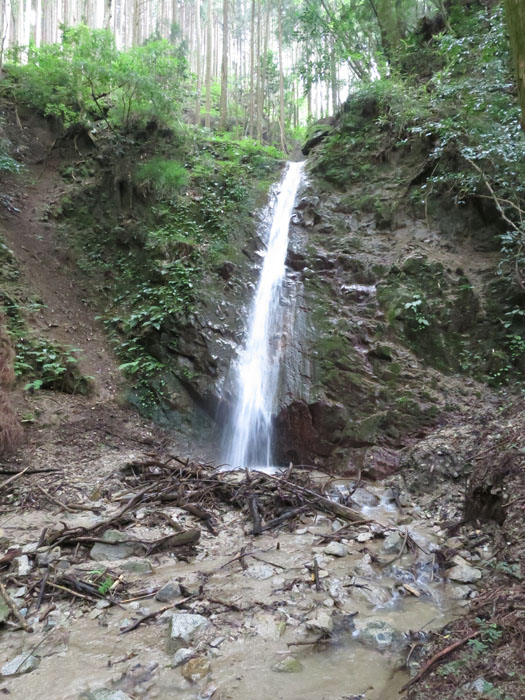 金剛山　危険個所ありの妙見谷_e0077010_21291719.jpg