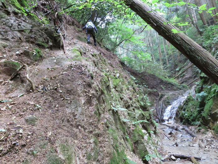 金剛山　危険個所ありの妙見谷_e0077010_2130225.jpg