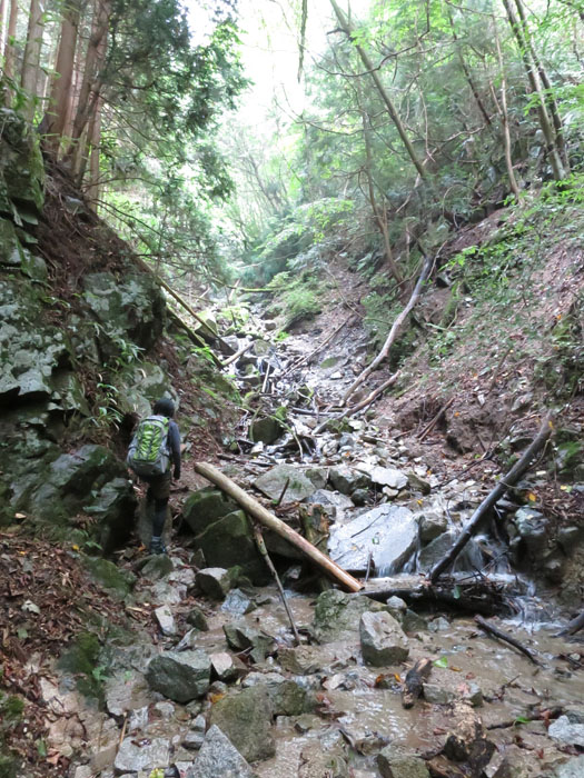 e0077010_21333588.jpg