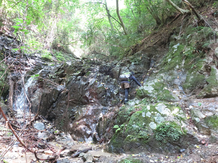 e0077010_2134634.jpg