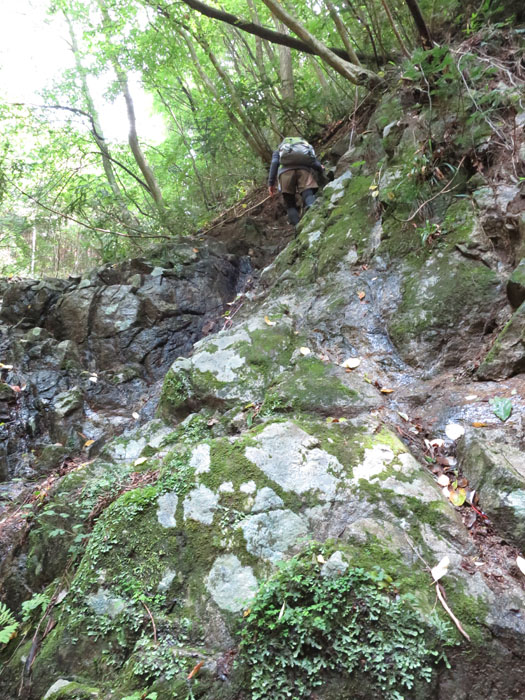 e0077010_2135052.jpg