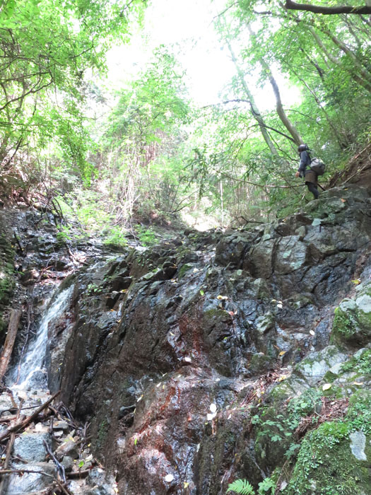 e0077010_21353336.jpg