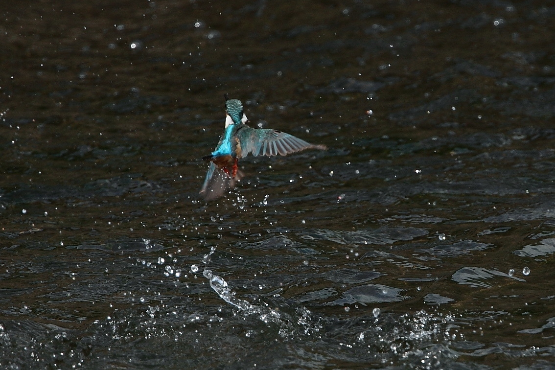 e0146518_14453279.jpg