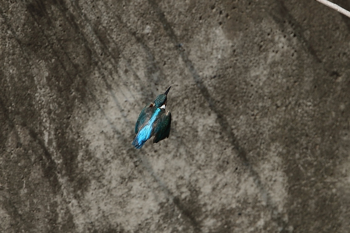 e0146518_14454853.jpg