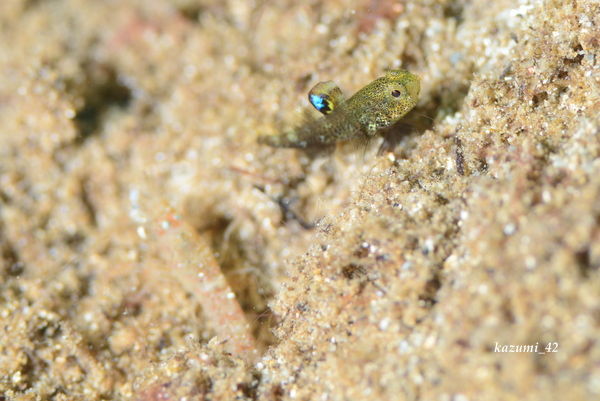 b0164920_21345437.jpg