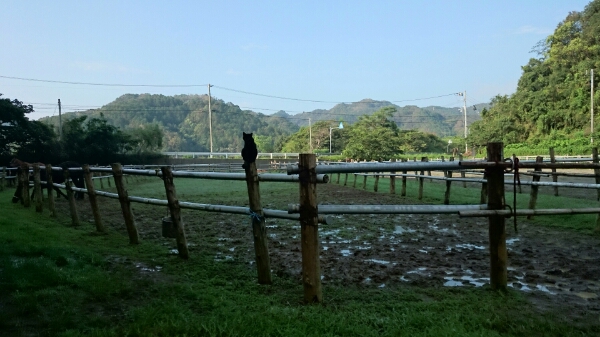b0187620_2202691.jpg