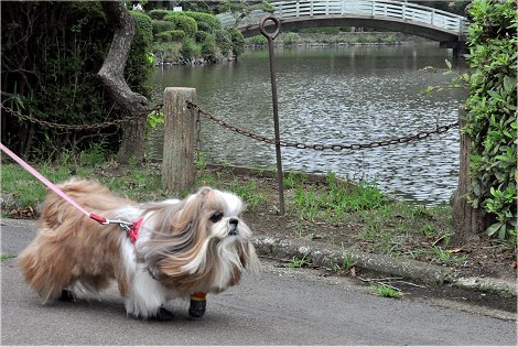 薬師池公園　・　お祝い_c0045628_22581992.jpg