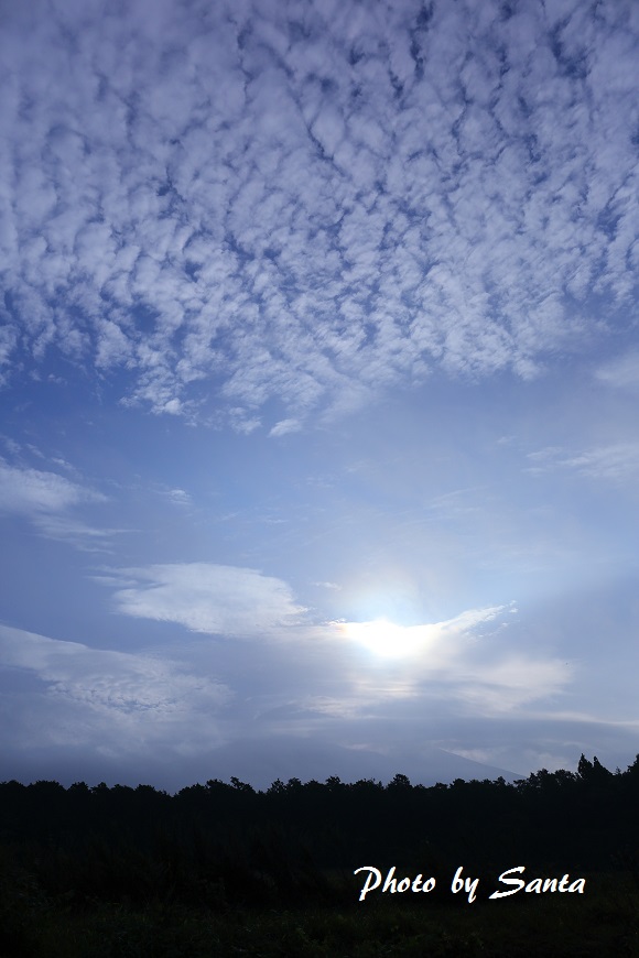 c0201929_8415132.jpg
