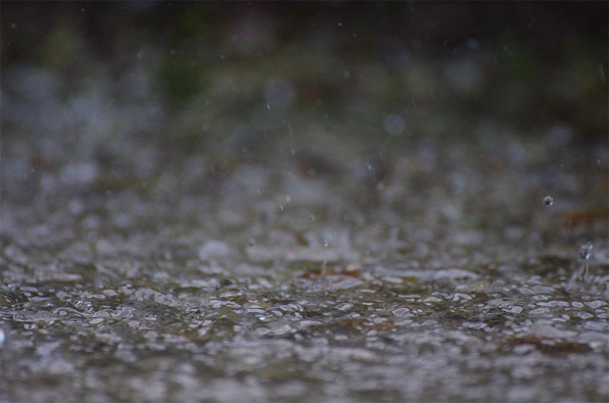 日南町／雨の日_f0227938_6553876.jpg