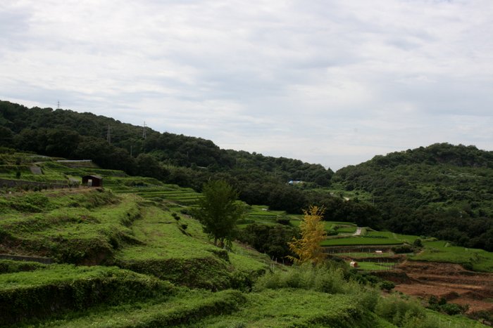 b0168840_21171520.jpg
