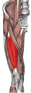 e0073240_7463253.png