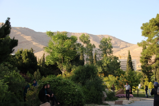 b0084243_00295790.jpg