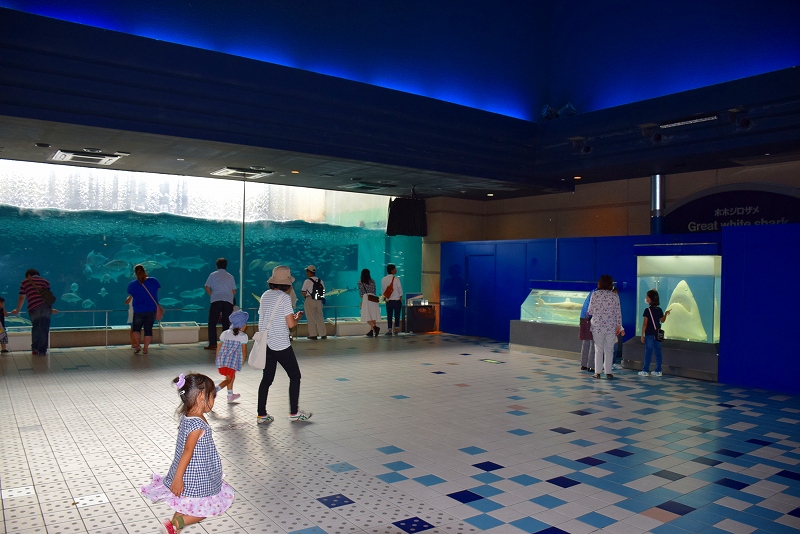 『須磨水族園』①孫との旅行に行ってきました。20140821_e0237645_19473372.jpg