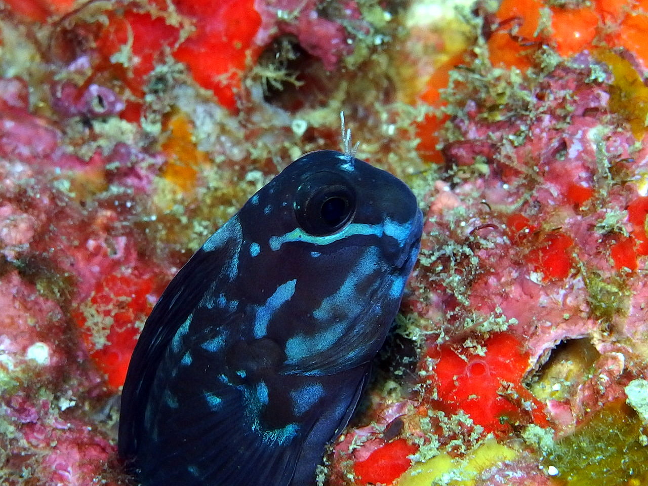 b0236647_202207.jpg