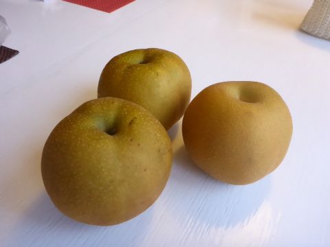 e0210347_1342521.jpg