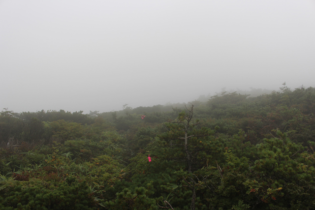 2014年9月6日　安達太良山・箕輪山（沼尻コース周回）_c0116856_18584139.jpg