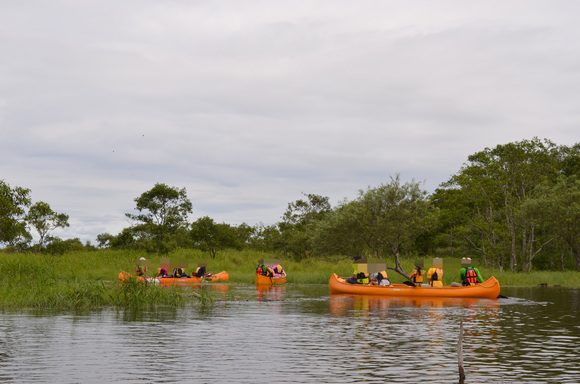 子どももシニアもOK!で楽しい「釧路湿原カヌーツアー」:ダイヤモンドプリンセス乗船記18_f0054556_16305349.jpg
