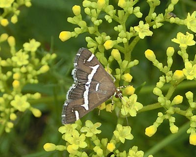 e0035757_21315908.jpg