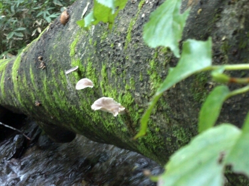 c0294658_23275623.jpg