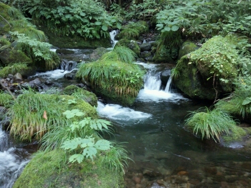 c0294658_23335627.jpg