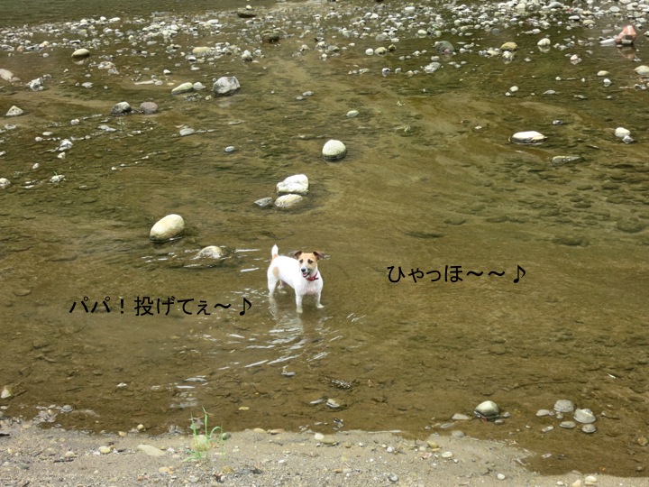 普通の日の朝散歩_c0260460_5491496.jpg