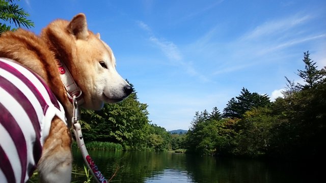 寒くない週末には♪_b0274270_12431982.jpg