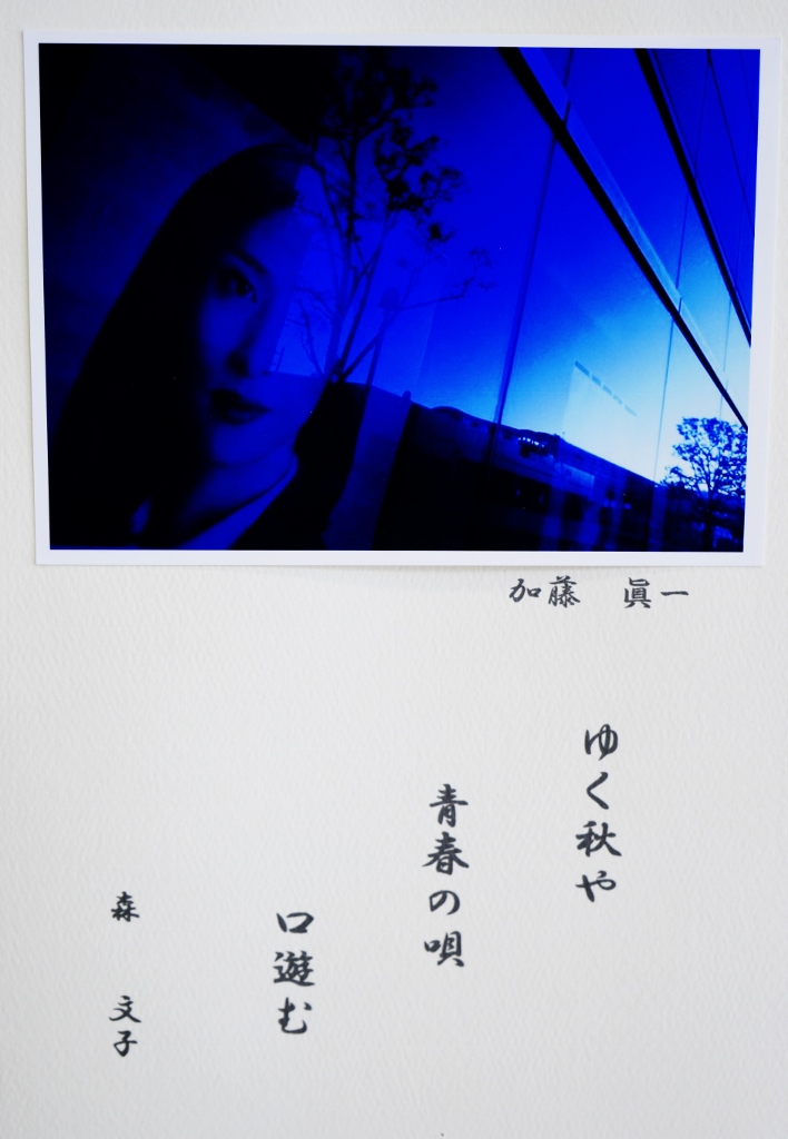 14年9月6日_c0129671_2035738.jpg