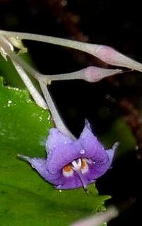 c0229483_1118137.jpg
