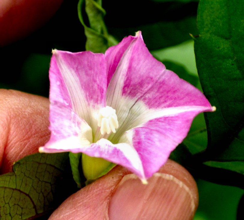e0191585_2214209.jpg