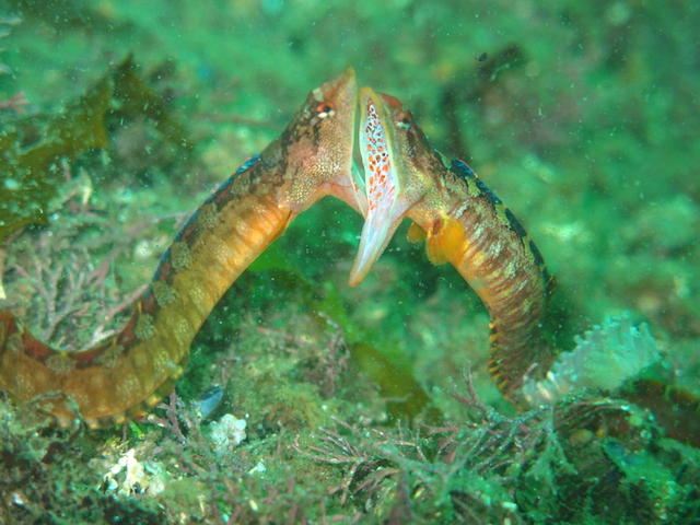 f0151886_17233028.jpg