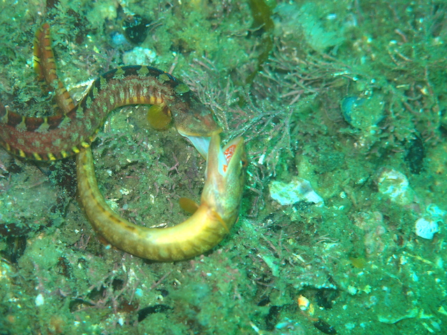 f0151886_1723583.jpg