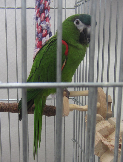 f0234590_9382480.png