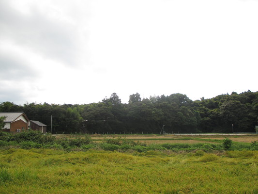 d0055395_13135710.jpg