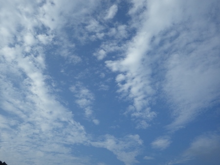 a0125598_21280803.jpg