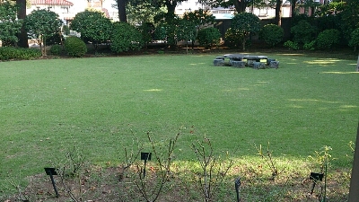 f0310599_15372797.jpg