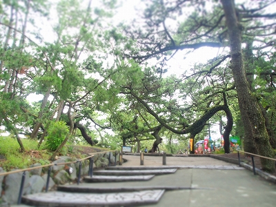 f0319501_22322415.jpg