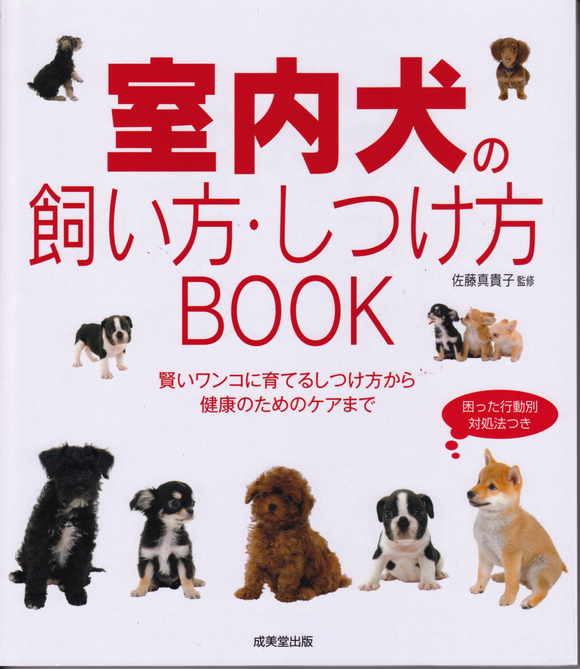 犬のイラスト、描きました。_a0200902_10535890.jpg