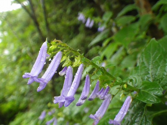 f0187402_2215783.jpg