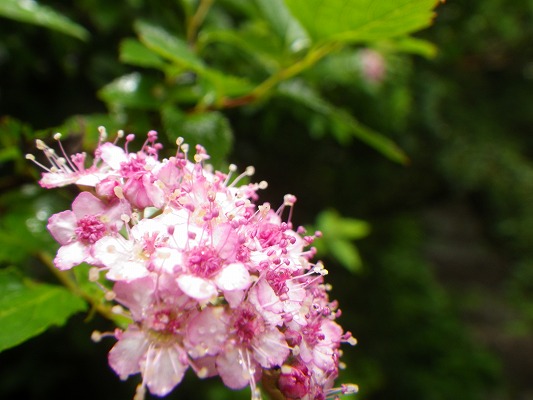 f0187402_223463.jpg