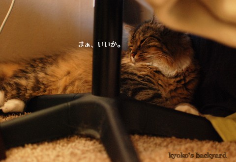 内弁慶のBailey_b0253205_03275385.jpg